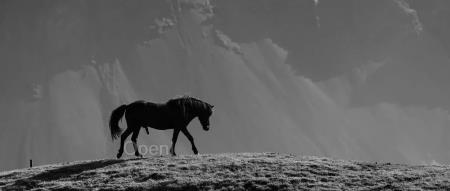 TikTok成立7年,罕见被曝全球大规模裁员!或波及一万人,用户运营团队直接解散