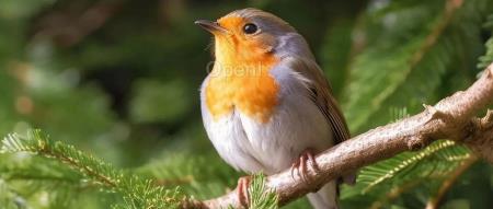 大模型助力具身智能、电池研发与蛋白质研究,讯飞、深势科技、字节专家齐聚分享|AICon