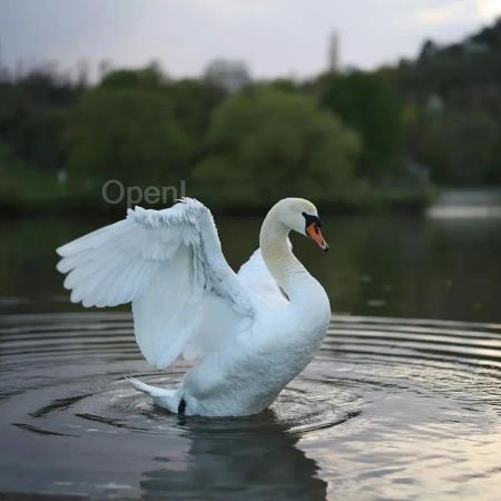 国产版Sora到来!视频大模型更上一层楼 | 大模型一周大事