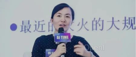 独家|杨红霞创业入局“端侧模型”,投后估值 1.5 亿美元