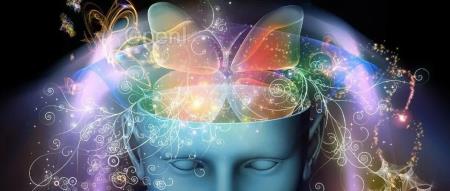 Neuron最新综述:信息搜寻的神经机制