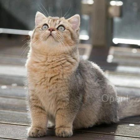 智能体技术发展趋势:李鹏谈大模型智能体与开放领域融合