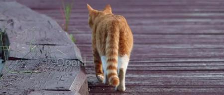 广发银行一年科技投入达37亿元,深化转型并加强数据治理