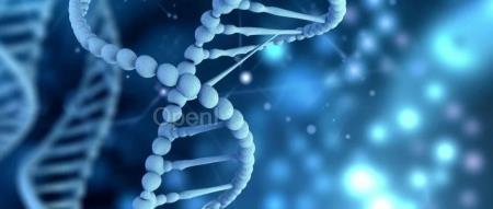 生命大科学:从微观到介观的组学研究