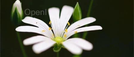 AI投资高昂,中小银行如何策略性“以小搏大”?