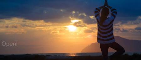 华人 AI 创业神话破灭?从最火的生成式 AI 产品到全网群嘲,只用了 110 天