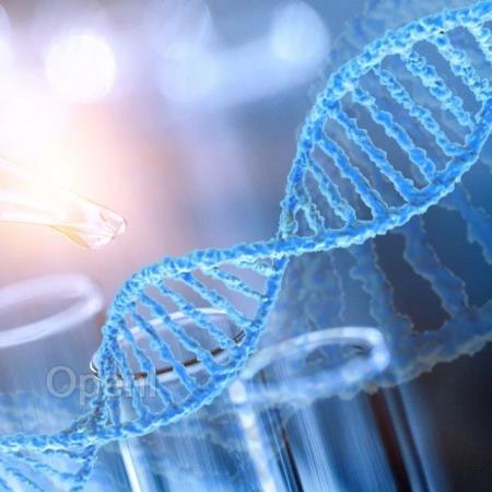 挑战教科书！中心法则有了新发现：RNA也能生成新基因