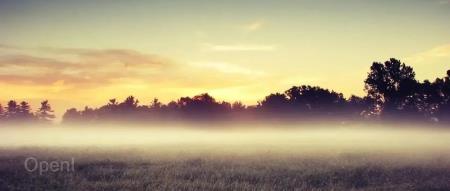 大模型国产化适配3-基于昇腾910使用ChatGLM-6B进行模型训练