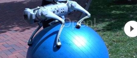 瑜伽球上遛「狗」！入选英伟达十大项目之一的Eureka有了新突破