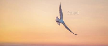 禁令再升级!拜登政府已不想让中国人在美从事AI工作了,套壳大模型的公司也危险了