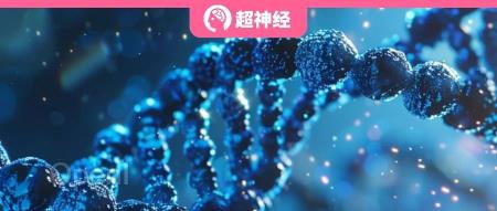 复旦脑科学研究院新成果:借鉴语义分割,开发空间转录组语义注释工具 Pianno