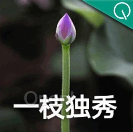 黑马!大模型竞技场榜单更新,国产玩家首次进入全球总榜前10