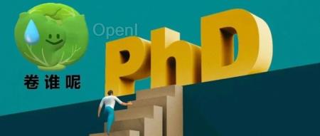 我，手握多篇顶会一作，引用量几百，却连个像样的博士offer都申请不到？！