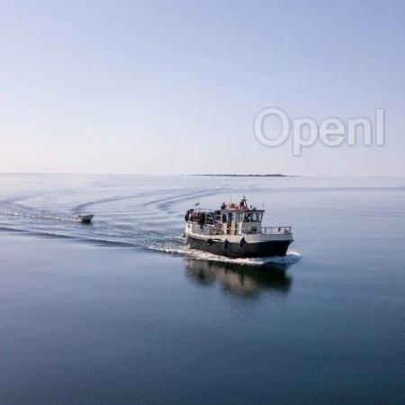 多智能体、知识助手......聊聊金融大模型现阶段应用实践和效益闭环|FCon