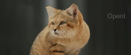 智谱AI获中东财团 4 亿美元投资；老板跑路，900多员工一脸懵：上午改bug、下午解散；谷歌云部门大规模裁员 | AI周报