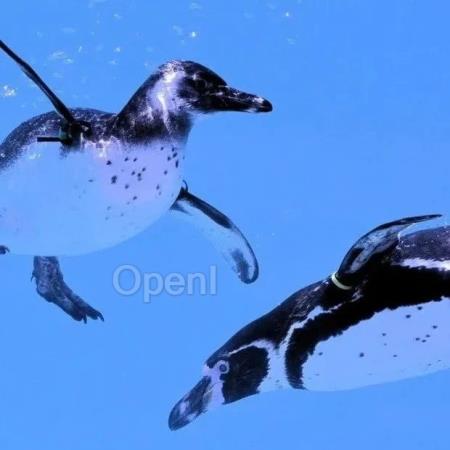 AI 时代的人力资源战略转型:香港中华煤气的实践分享