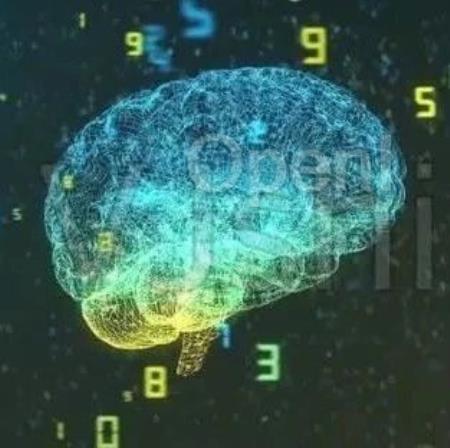 复旦冯建峰组NSR|全脑规模数字孪生脑平台,探索脑结构与脑功能的关系