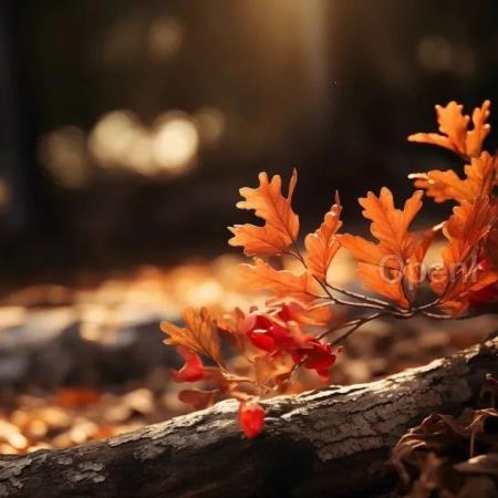 中国版 Runway 新功能上线,图生视频动效更强