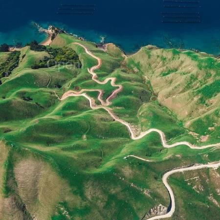 越来越多企业采用 AI,工业、药物研发、零售等行业加速转型