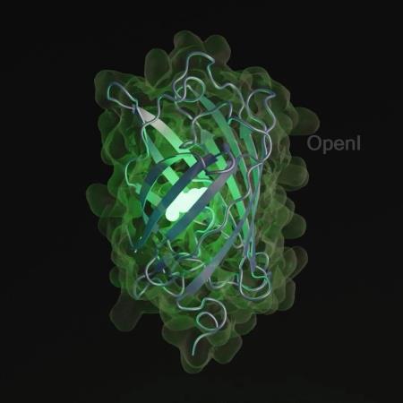 模拟5亿年的进化信息,首个同时推理蛋白质序列、结构和功能的生物学大模型