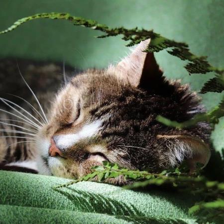 Runway 全新 Gen-3 视频生成模型获网友盛赞：比 Sora 更好