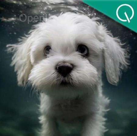 超越扩散模型！自回归新范式仅需2.9秒就生成高质量图像，中科大哈工大度小满出品