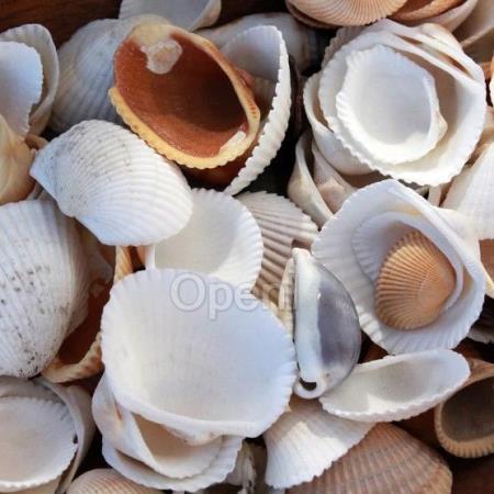 天弘基金：AI Agent在金融场景下的创新与应用实践