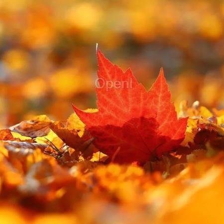 知识图谱技术在信贷领域的应用