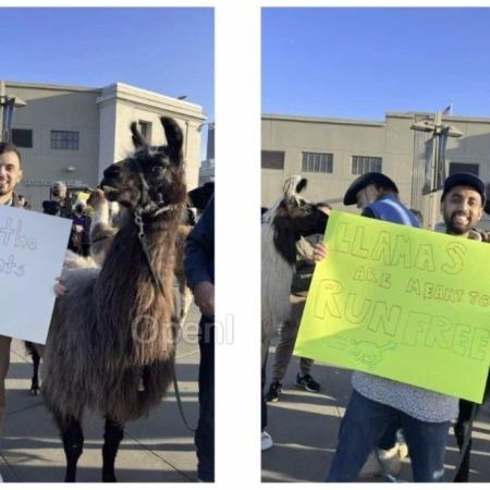 “AI 已经具备超人智慧,具身机器人 100% 会兴起” Llama 3 作者北京演讲畅论 AI 前世今生