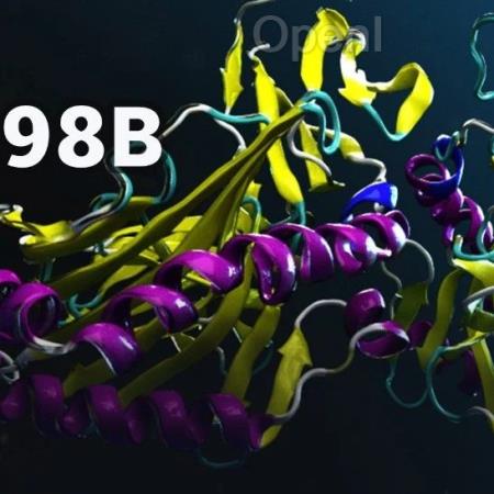 模拟5亿年自然进化史,全新蛋白质大模型ESM3诞生!前Meta老将力作LeCun转赞