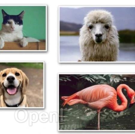 视觉语言模型导论:这篇论文能成为你进军VLM的第一步