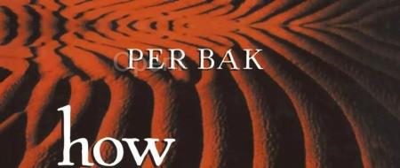 自组织临界性的发现:“回过头看,事情本可以更简单”