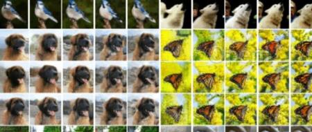 字节豆包全新图像Tokenizer:生成图像最低只需32个token,最高提速410倍