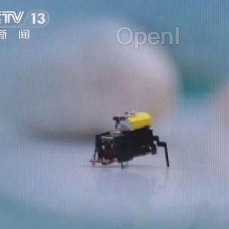 央视7分钟深度报道!Nature:北航发布昆虫机器人BHMbot研究成果