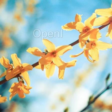 Yandex 开源 LLM 训练工具,可节省高达 20% 的 GPU 资源