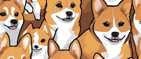 ICML 2024 Oral|外部引导的深度聚类新范式