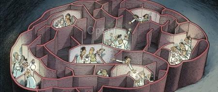 吵翻了:科学家能否就意识是如何产生的达成一致?|《自然》长文