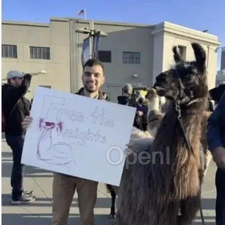 Llama 3模型作者中国首讲！LLM 前世今生，AGI 是我们这代人的哥白尼丨2024智源大会回顾