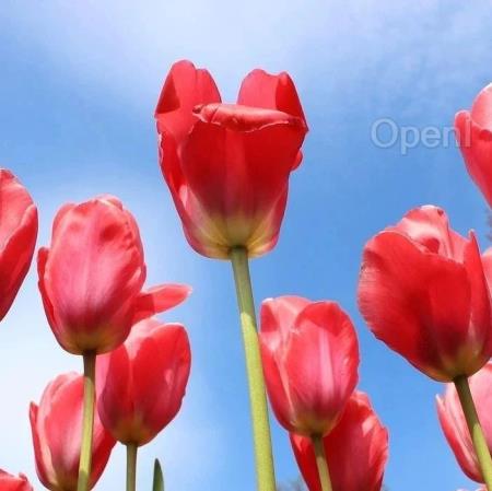 AI大模型正改变着推荐系统的未来