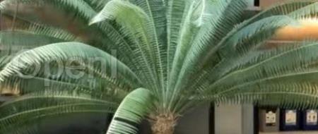 高效、可泛化的高斯重建框架,只需3张视图即可快速推理,45秒便可完成优化