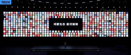 纯血鸿蒙元年：山的那边，是星河璀璨