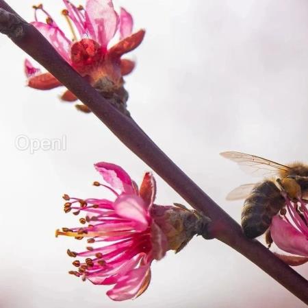 阿里云重磅发布开源模型Qwen2，性能超Llama3-70及国内众多闭源模型