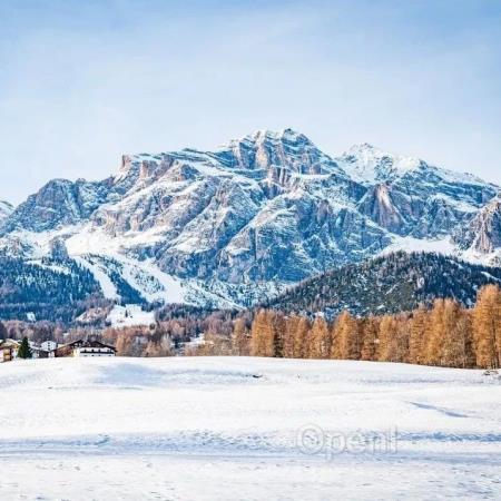 没有完美架构,AI时代架构师如何找到成本与性能的平衡点?