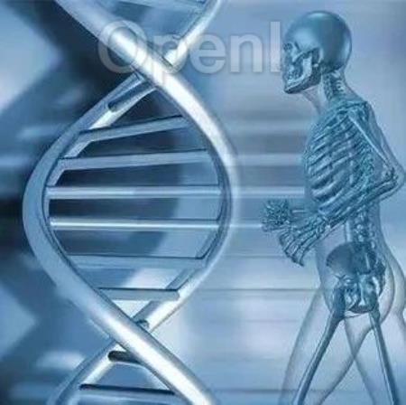 未来的生命形态会是怎样的? | 智能渐近线