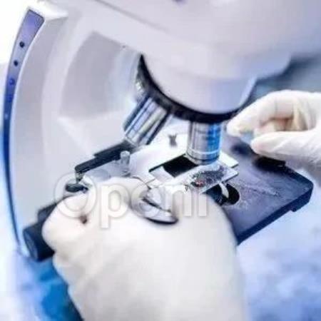 AI界的“海马体”：HippoRAG技术如何让机器像人类一样思考？