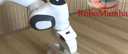 北大推出全新机器人多模态大模型！面向通用和机器人场景的高效推理和操作