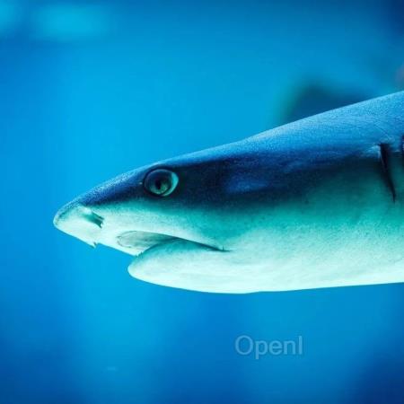 大模型加持下的 AIOps 业务场景实践有哪些新“解法”?