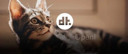 一周涨粉10万,猫meme怎么就火了?