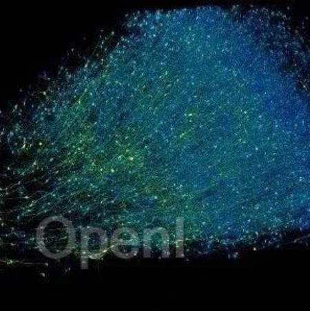 大脑是如何工作的?谷歌和哈佛的研究人员用AI把它画出来了|NIO Capital 未来生活