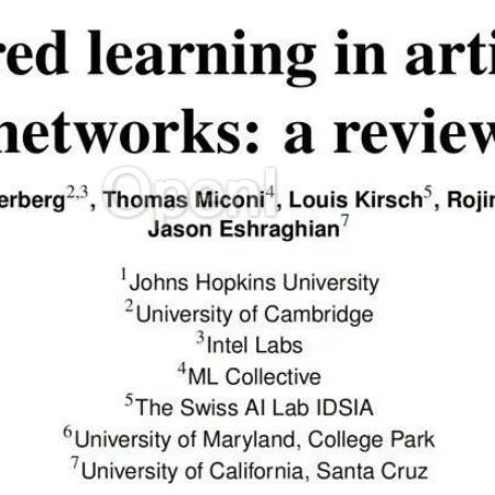 脑启发的ANN学习机制综述